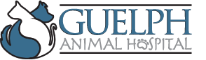 Guelph Animal Hospital